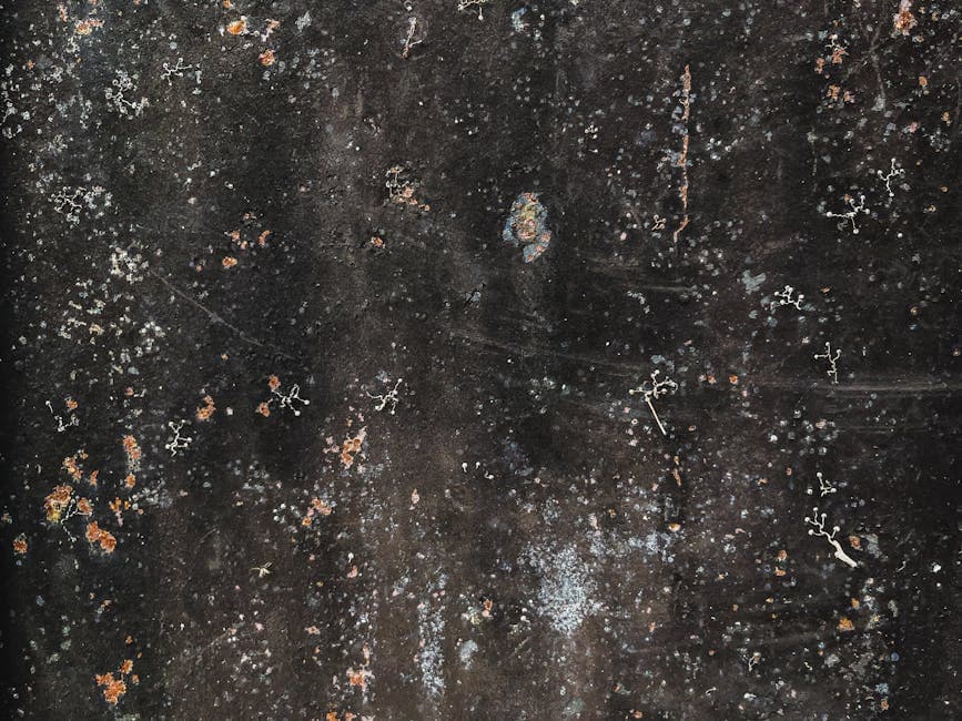 AI Photo Upscaling: How to Enlarge Photos Without Losing Quality